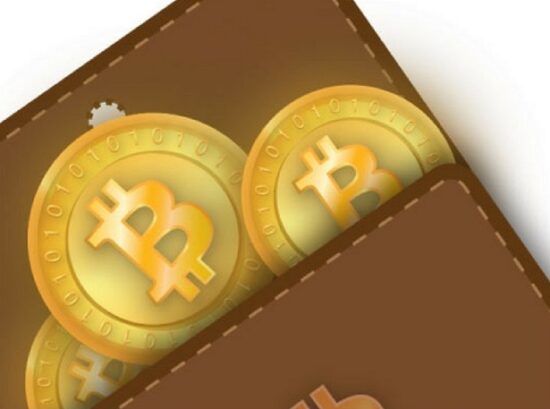 bitcoin cüzdanı nedir? bitcoin cüzdan