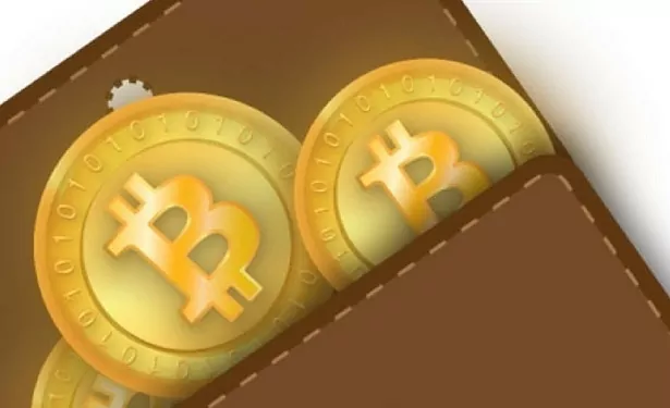 Bitcoin Cüzdanı Nedir?