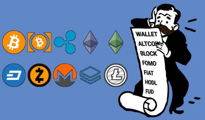 kripto para terimleri