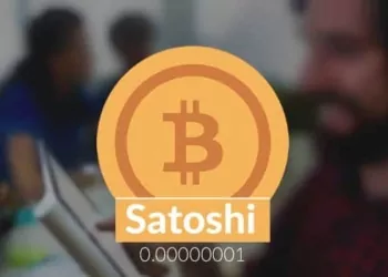 Satoshi Nedir?