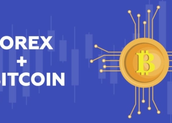 kirpto para bitcoin doviz forex