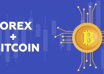 kirpto para bitcoin doviz forex