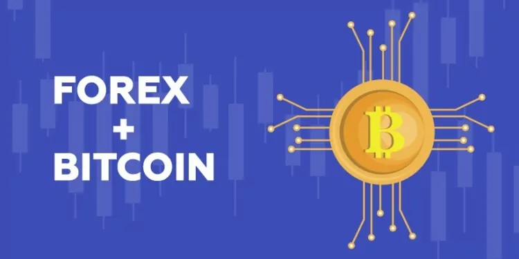 kirpto para bitcoin doviz forex