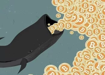 Bitcoin Balinaları Fiyat Değişkenliğinden Sorumlu Değil