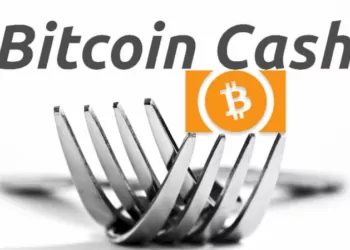 Bitcoin cash hard fork catalanma exchange wallet