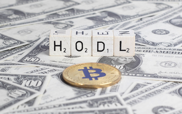 Bitcoin with word Hodl 2018-Beri-Bitcoin-Arzinin-%64-Tasinmadi-btc-kripto-para-cryptocurrency-hodl-wallet-cuzdan