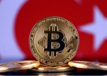 bitcoin-turkiye-ile-birlikte-7-ulkede-daha-rekor-kirdi