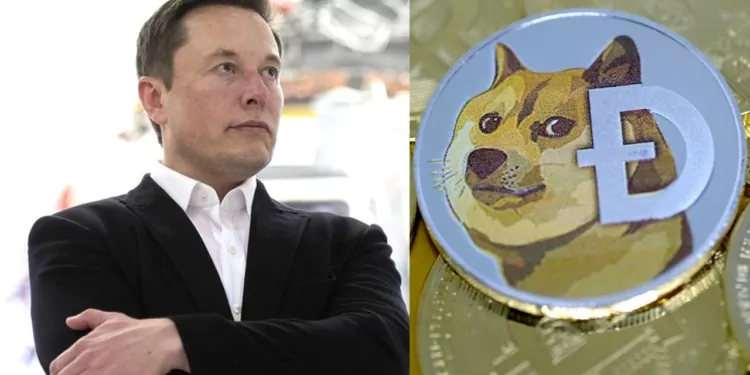 Dogecoin ve Gamestop Ardindan Bitcoin’de Elon Musk Etkisi 1 dogecoin-ve-gamestop-ardindan-bitcoinde-elon-musk-etkisi