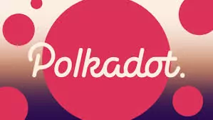 polkadot-dot-nedir