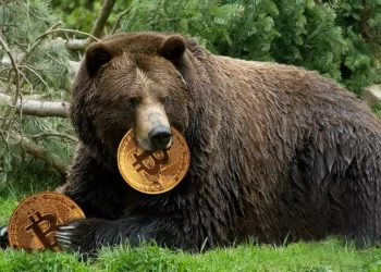 Bitcoin Ayı Piyasası