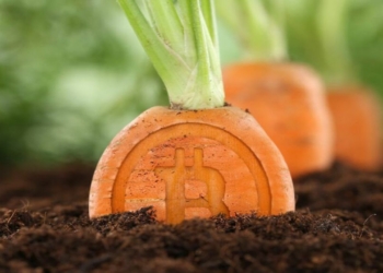 Bitcoin Taproot Güncellemesi