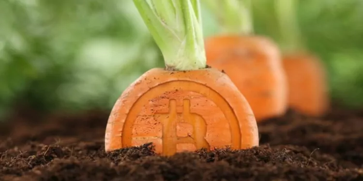 Bitcoin Taproot Güncellemesi