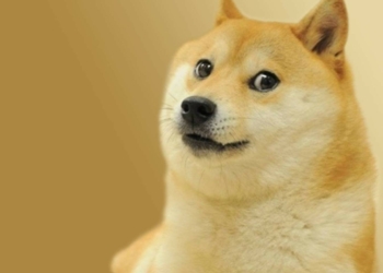 Doge Meme NFT