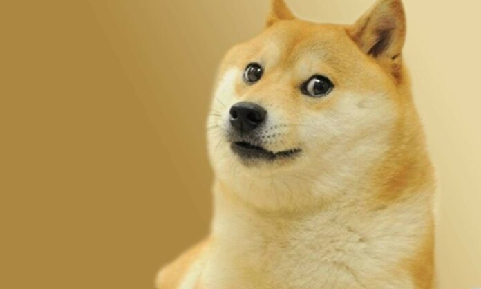 doge-meme-nft Doge Meme NFT