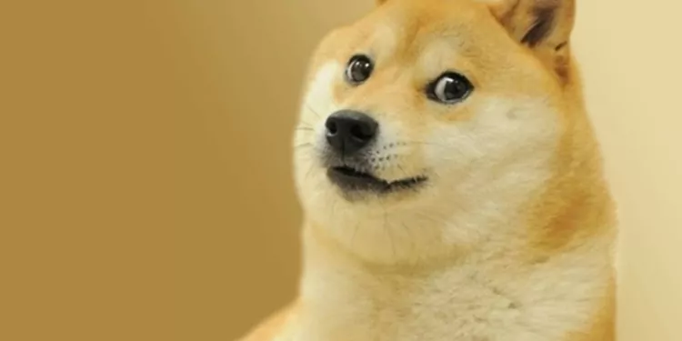 Doge Meme 4 Milyon Dolara Satıldı! 1 Doge Meme NFT