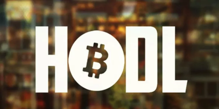 Bitcoin HODL’cıları Artı Pozisyonda! 1 hodl nedir