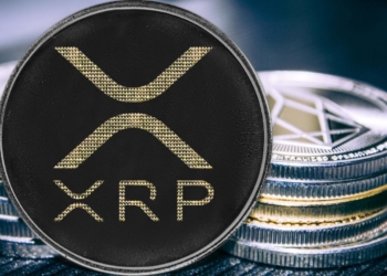 Balina Anonim Bir Cüzdana 120 Milyon XRP Taşıdı