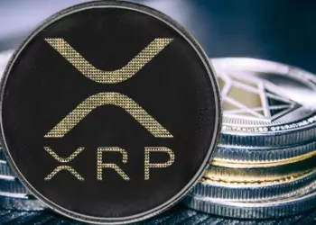 Balina Anonim Bir Cüzdana 120 Milyon XRP Taşıdı