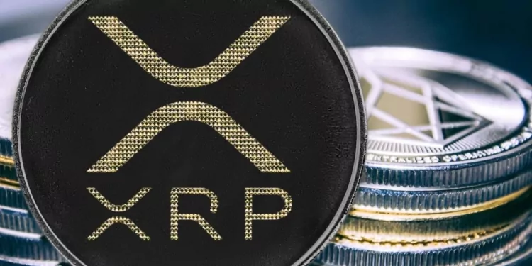 Balina Anonim Bir Cüzdana 120 Milyon XRP Taşıdı