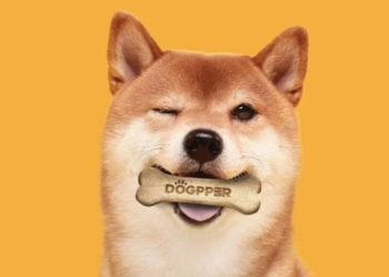 Dogecoin Kullanım Alanları Artıyor!