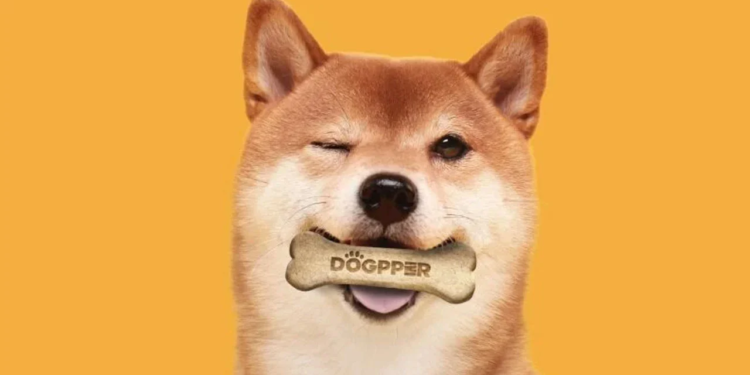 Burger King Brezilya, Doge ile Ödeme Almaya Başladı 1 Dogecoin Kullanım Alanları Artıyor!