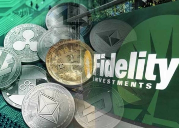 Fidelity: Kripto Piyasasına Yeni Düzenlemeler Gelmeli