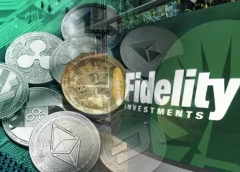 Fidelity: Kripto Piyasasına Yeni Düzenlemeler Gelmeli