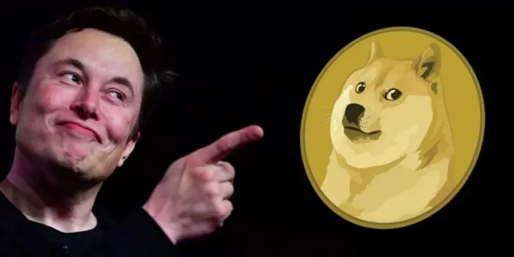 Doge Yükselir mi?