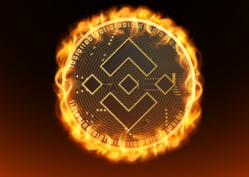 17 Eylül 2021 BNB Coin Fiyat Grafiği