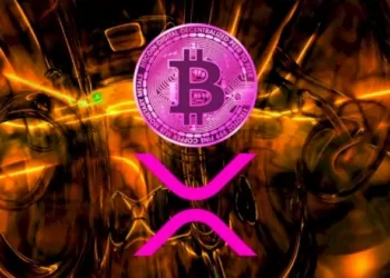 XRP Bitcoin'e Benziyor