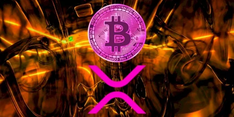 Ripple Direktörü: Bitcoin ve XRP Temel Olarak Aynı 1 XRP Bitcoin'e Benziyor