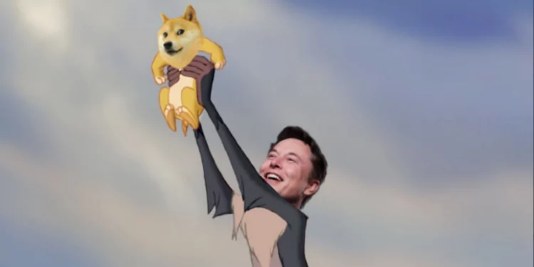 Elon Musk Bu Kez Başaramadı! 1 Elon Musk Hüsrana Uğradı