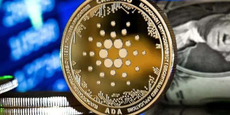 Cardano Ethereum'u Geride Bıraktı!