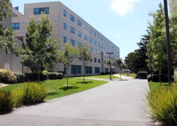 Ripple'dan ABD'de Kalma Kararı