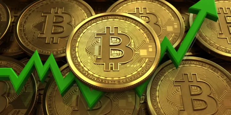 Pantera Capital Ceo’su: Bitcoin 120 Bin Doları Geçecek 1 Bitcoin 120 Bin Dolar Olacak