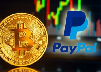 PayPal'da Meydana Gelen Büyümenin Nedeni Kripto Varlıklar Olabilir mi?