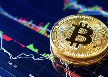 Bitcoin Twitter Bahşiş Özelliği