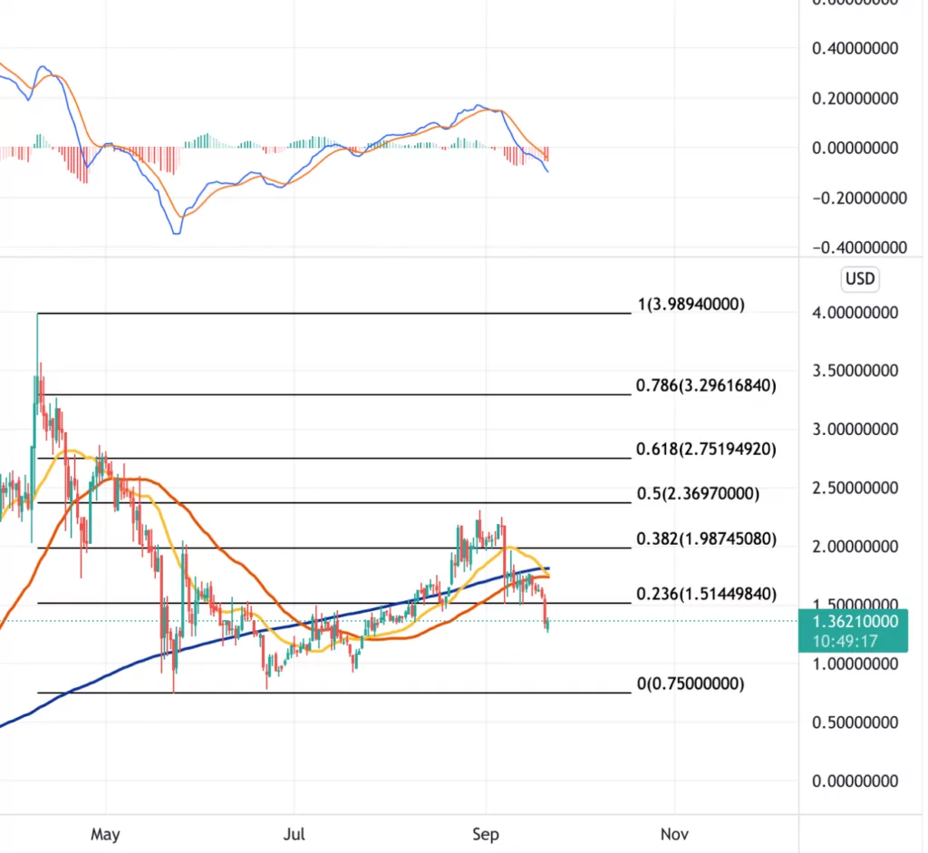 21 Eylül 2021 Enjin Coin Fiyat Grafiği