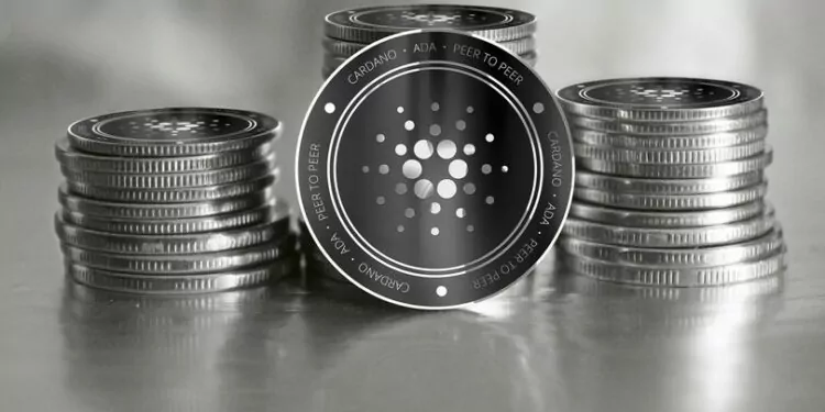 Cardano Kurucusundan Afrika Turu