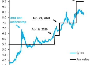 Türk Lirası Adil Değer