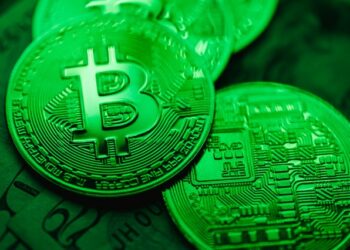 Bitcoin Balinaları Alım Yapıyor