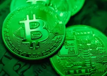 Bitcoin Balinaları Alım Yapıyor