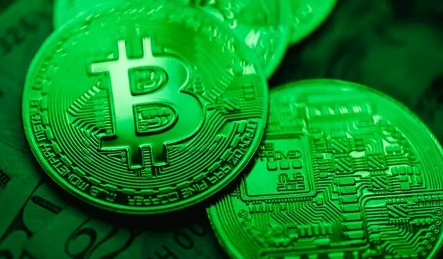 Bitcoin Balinaları Alıma Devam Ediyor 1 Bitcoin Balinaları Alım Yapıyor