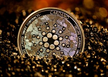 Cardano CEO'su Kriptolar İçin Geleceğin Parası Dedi