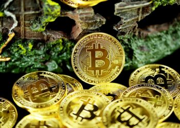 Brian Quintenz Kripto Dünyasında