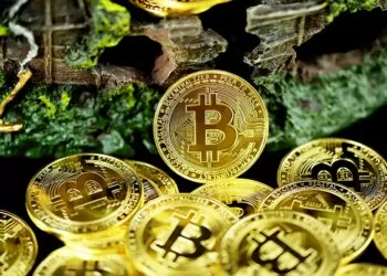 Brian Quintenz Kripto Dünyasında