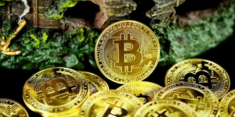 Brian Quintenz Kripto Dünyasında