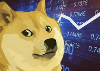 DOGE Kullanımı Artıyor