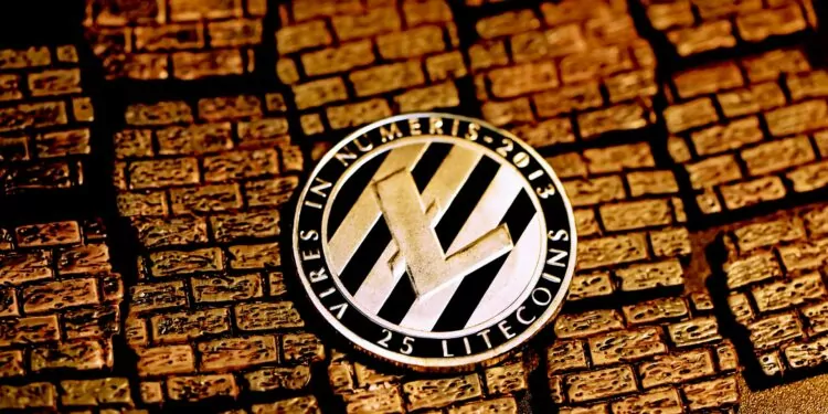 Walmart, Litecoin ile Olan Ortaklığını Duyurdu Ardından Haber Yalanlandı 1 Litecoin'in Fiyatı 24 Saatte %24 Arttı