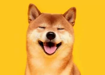 Anonim Balina, Bu Coinden Milyarlarca Satın Aldı!